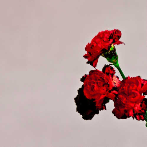 John Legend LITF