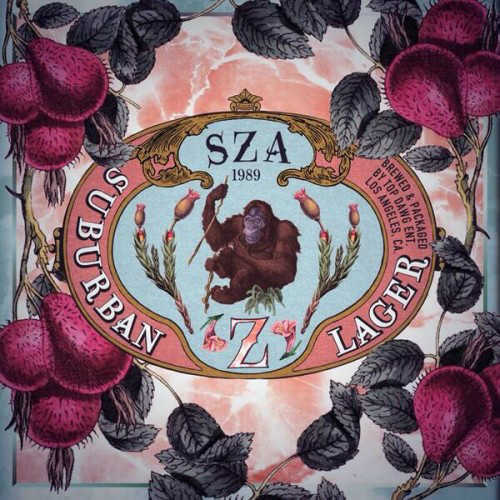 http://www.playthishiphop.com/wp-content/uploads/2014/03/SZA-Z.jpg