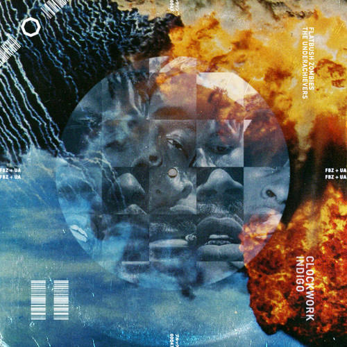 flatbush underachievers indigo