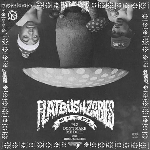 Flatbush ZOMBiES - Plz Don't Make Me Do It