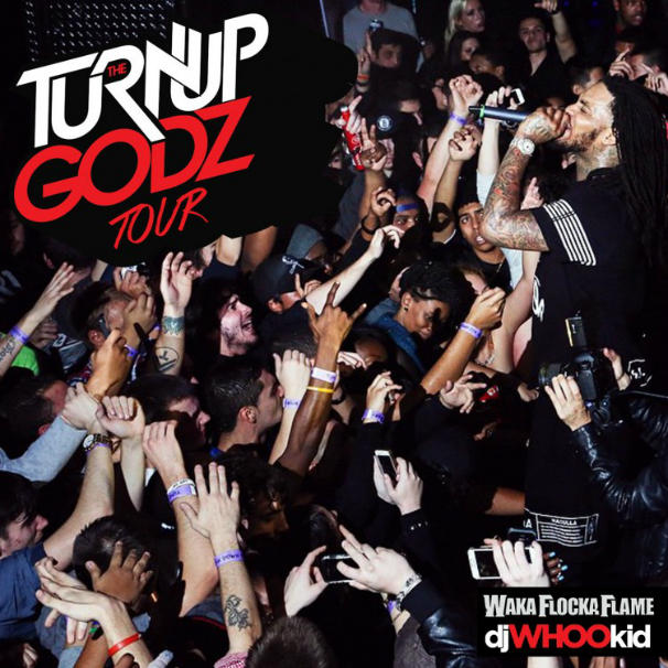 Waka Flocka - Go Crazy