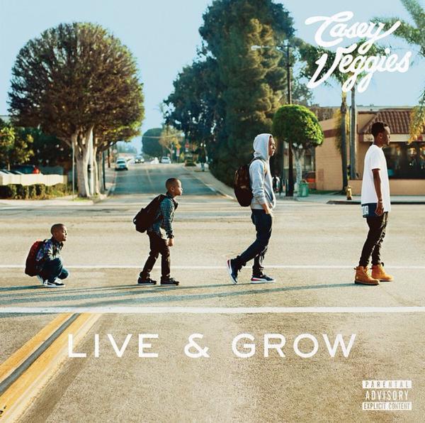 Casey Veggies album