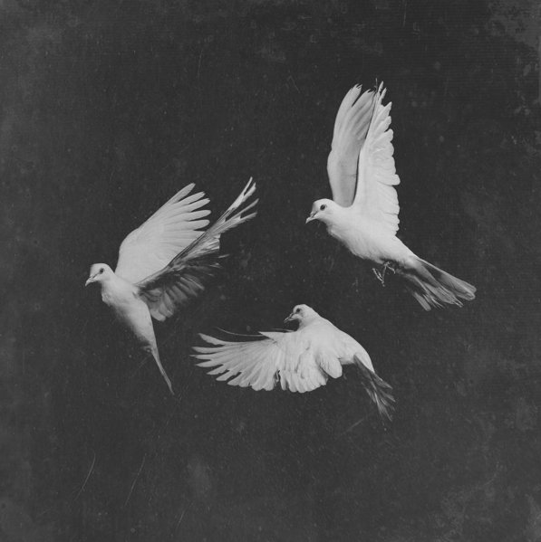 Pusha T - Untouchable