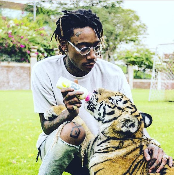 wiz so much