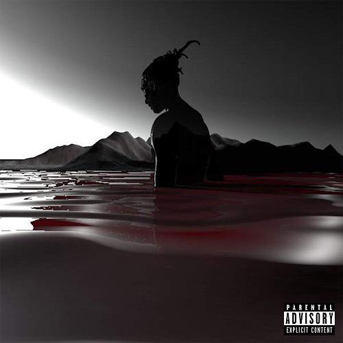 Robb Bank$ – Year of the Savage Album