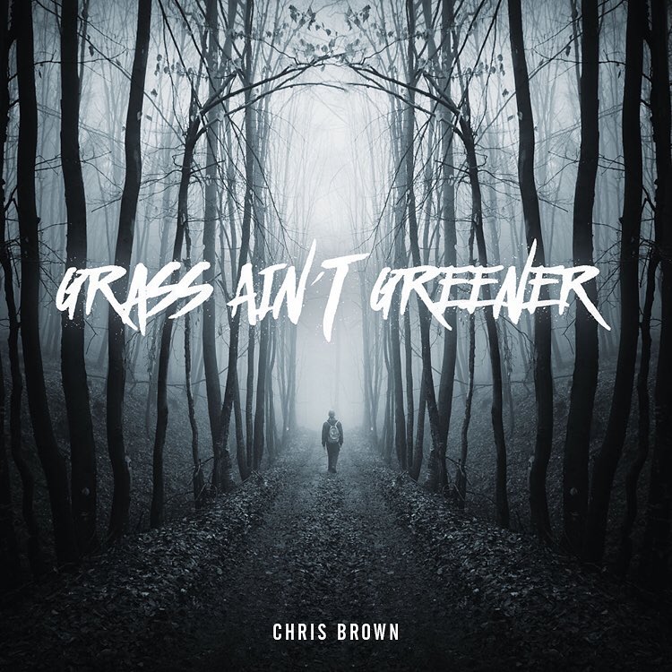 Chris Brown - Grass Ain’t Greener